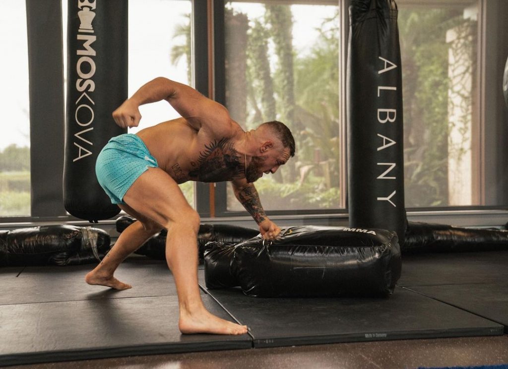 ground and pound workout of Conor