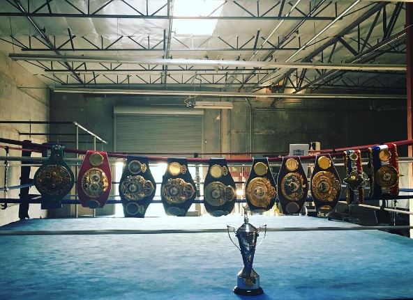 Andre Ward all titles