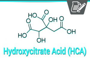 Hydroxycitric acid | weight loss supplements