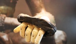 2000 Years Old Boxing Gloves Unearthed At Northumberland, England