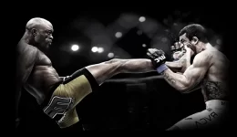 Mixed Martial Arts Basics For The Newbie