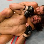Top 5  MMA Submissions (Statistically Proven) - Which One is Your Favorite?