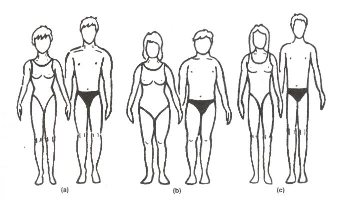 Body Types and Weight