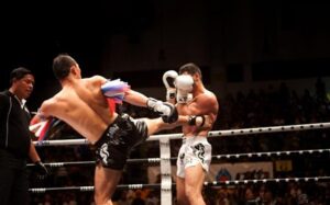 Techniques and Styles in Muay Thai